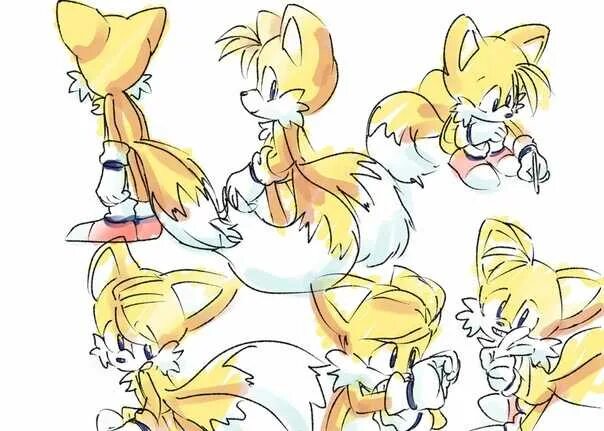 Тейлз и крим любовь. Тейлз и хани. Say and tails. Тейлз прауэр. Say and tails.