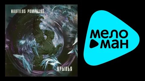 Наутилус помпилиус крылья минус