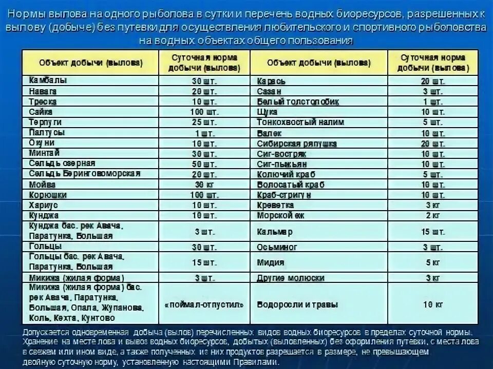 норма вылова на одного человека. суточные нормы вылова. размер рыбы разрешенной к вылову. размеры рыб для вылова. разрешённый размер вылавливаемой рыбы.