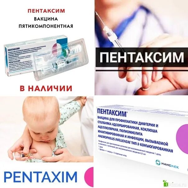 Пентаксим с хиб. Пентаксим живая или неживая. Пентаксим живая или неживая. Вакцина пентаксим с хиб. Пентаксим без хиб.
