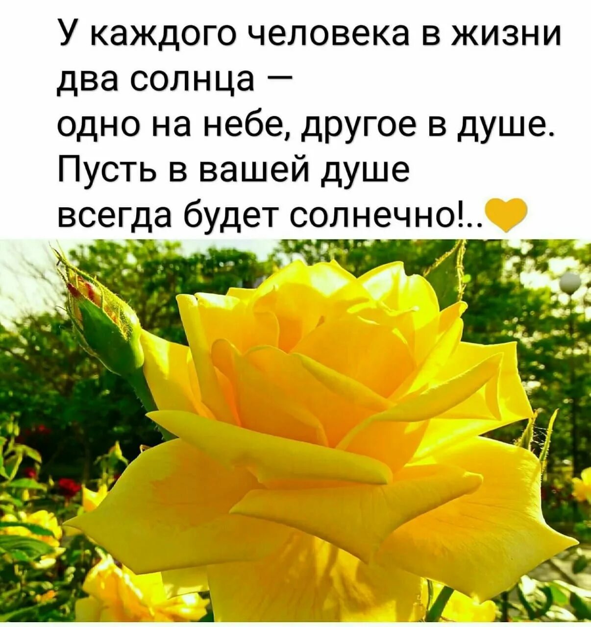 Пусть в душе всегда будет солнце. Будьте здоровы и счастливы. пусть в вашей жизни будет. пусть в душе будет солнечно. солнышка в душе.