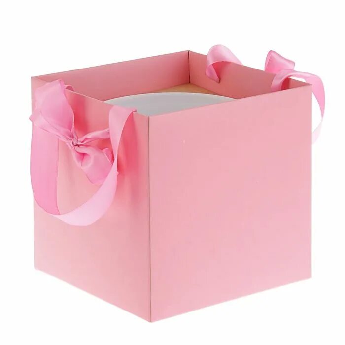 Купить коробку рязань. Коробка с пластиковой вставкой. Коробка для вазы. Пластиковая коробка-ваза для цветов. Коробка-ваза с пластиковой вставкой.