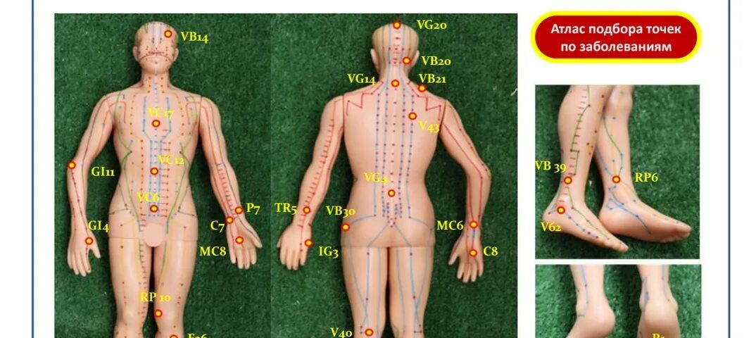 Точки на теле. Атлас точек тела человека. Атлас точек на теле человека. Важные точки на теле. 13 точка человека