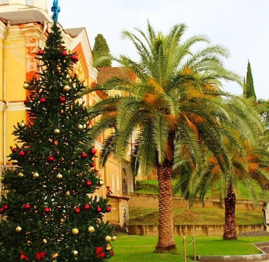 символ нового года в абхазии