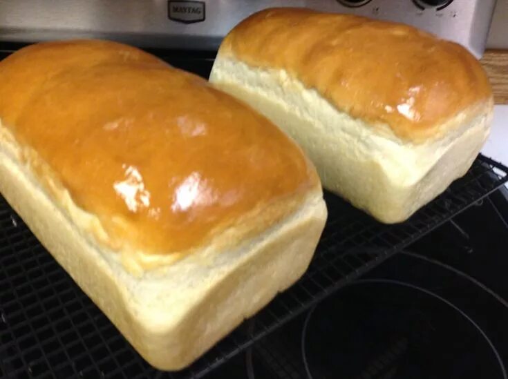 Ann buy white bread but now she. Ann buy white bread but now she. Ezekiel bread. Ann buy white bread but now she. Ann buy white bread but now she.