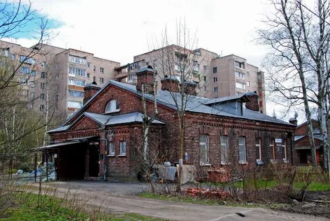 Рябовское шоссе