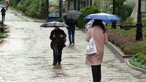 Погода в сочи 20 ноября