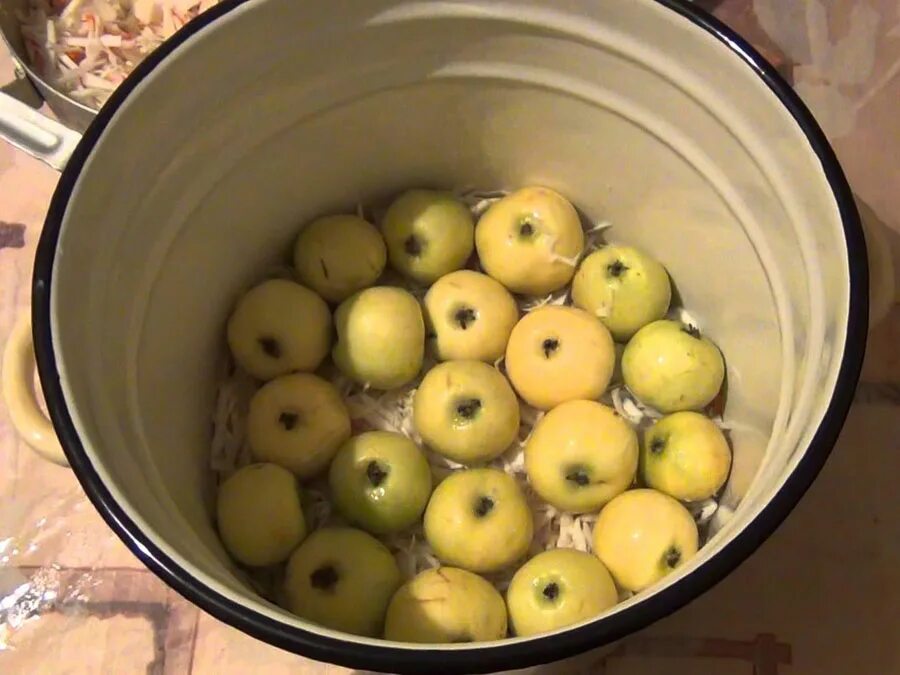 Рецепт моченых яблок в банки. Моченые яблоки Антоновка. Яблоки сорта богатырь моченые. Яблоки мочёные пластиковом ведре. Как замочить яблоки.