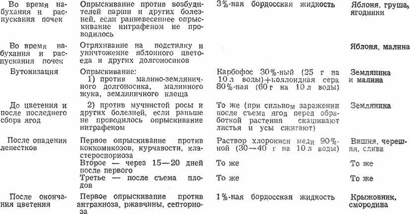 Весенняя обработка крыжовника и смородины. Календарь обработки смородины от вредителей и болезней. Схема обработки смородины от болезней. Таблица обработки плодовых деревьев. Обработка смородины от вредителей.