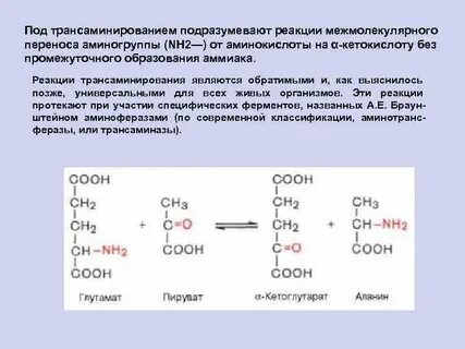 Переносит аминокислоты к месту синтеза