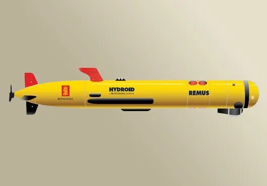 Remus 600. Автономный подводный аппарат Remus 100. Remus 100 AUV (remus100.m). Remus-600 подводный аппарат. АНПА Remus 6000.