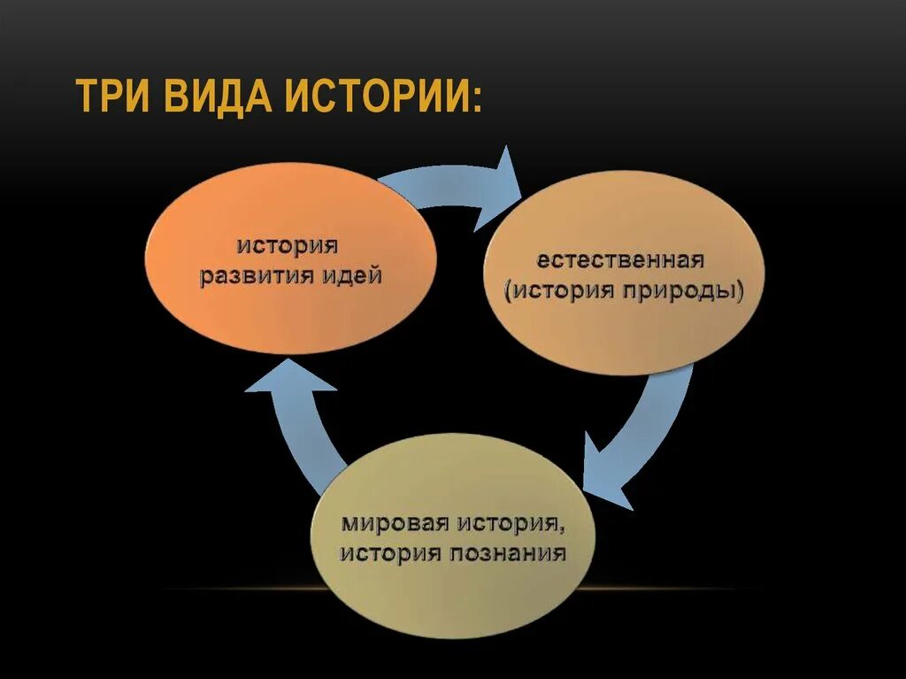 Виды истории. Виды исторических историй. Какая бывает история виды.