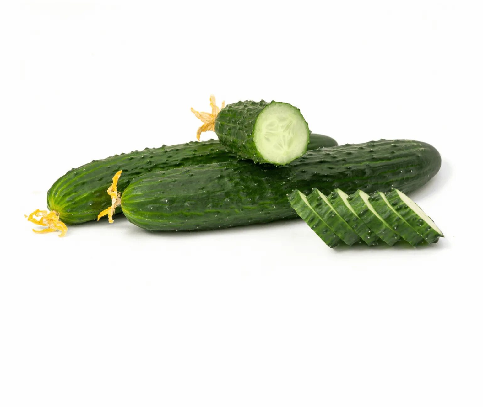 огурец лист f1. огурец герман гавриш. семена огурца бьерн f1. огурец стартап. огурец стартап f1 видео.