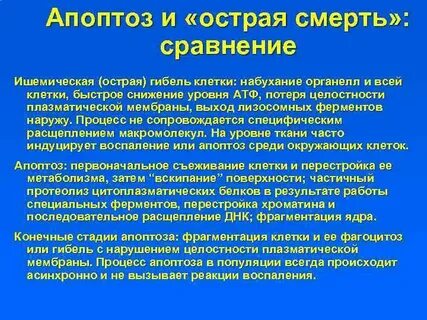 Как происходит гибель клетки