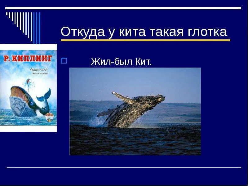 Киплинг откуда у кита. Киплинг кит. киплинг кит глотка. откуда у кита такая глотка. откуда у кита такая глотка рисунок.