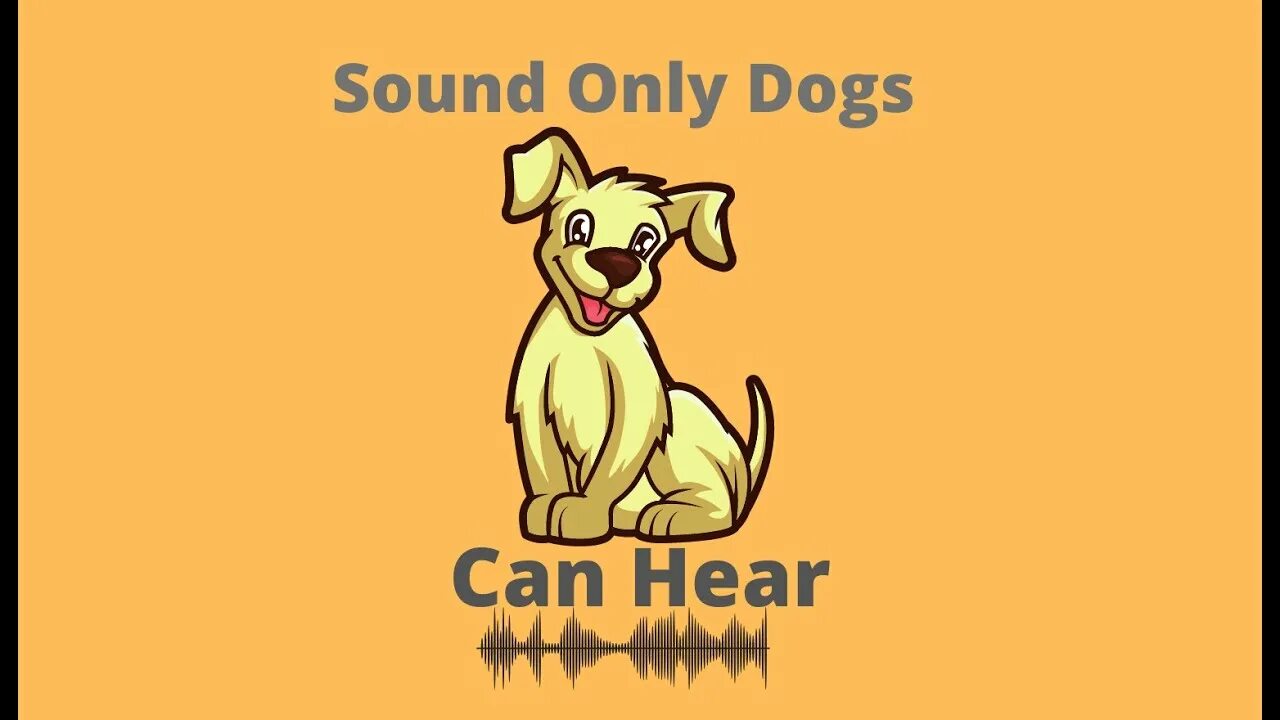 A Dog can. Only Dogs. Sound only. Now only dogs