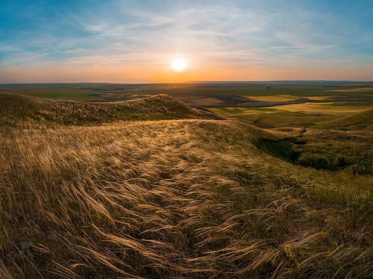 Золото ставропольского края. Фёдор Лашков ковыль степь. Степи равнины Ставропольского края. Ставропольская возвышенность. Ставропольский край горы возвышенности равнины.