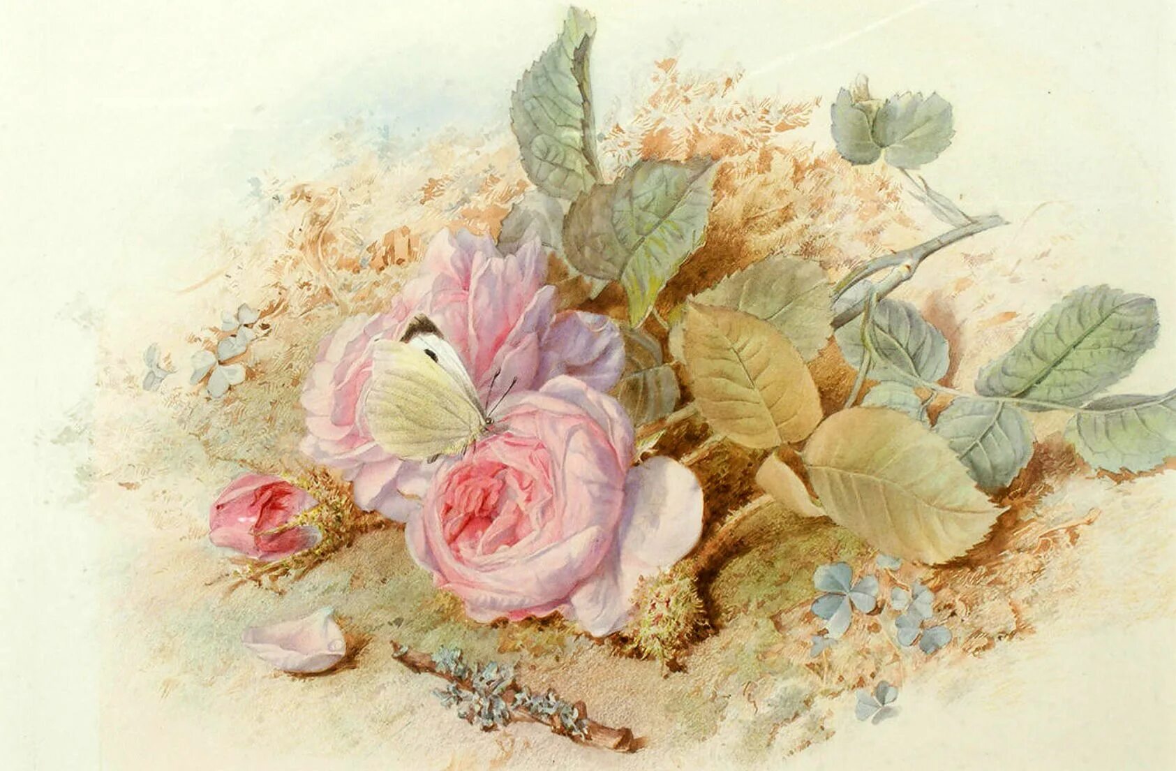 Винтажные картинки. Цветочные акварели. Художница Mary Elizabeth Duffield. Mary Elizabeth Duffield (British, 1819-1914). Мэри Даффилд акварель. Художник Mary Elizabeth Duffield (British, 1819-1914.
