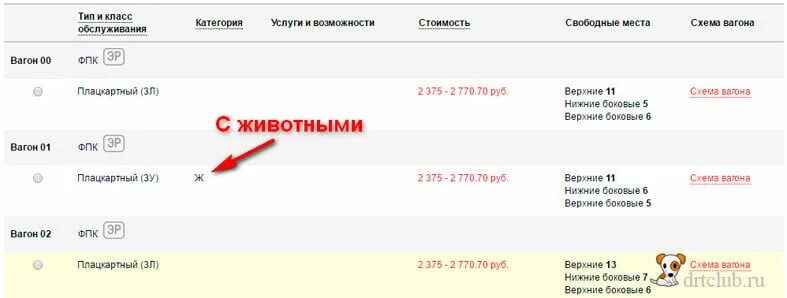 Ржд купить билет на электричку через приложение. Как оформить билет на собаку. Билет на электричку для собаки. Билет на РЖД поезд собачий. Билеты на поезд с животными.