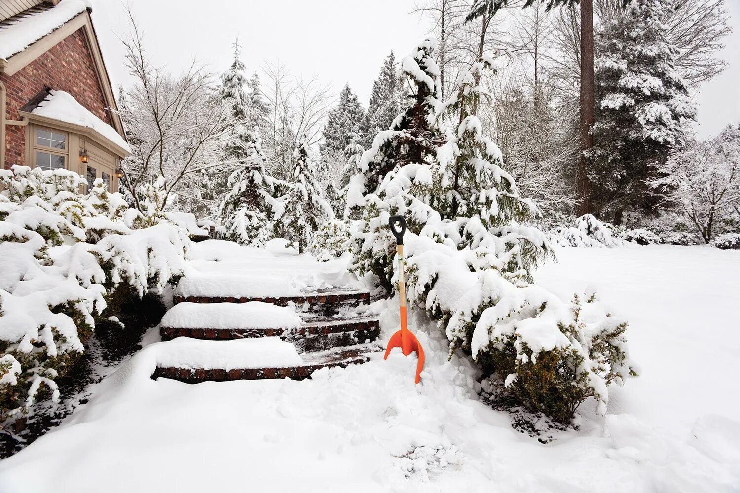 Красивый сад зимой. Зима в саду. Снег в саду. Сад зимой. Хьюз.