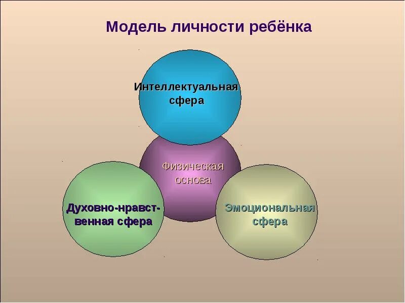 Модель личностного развития. Сферы личности ребенка. сферы личности дошкольника. модель личности. личностная сфера дошкольника.