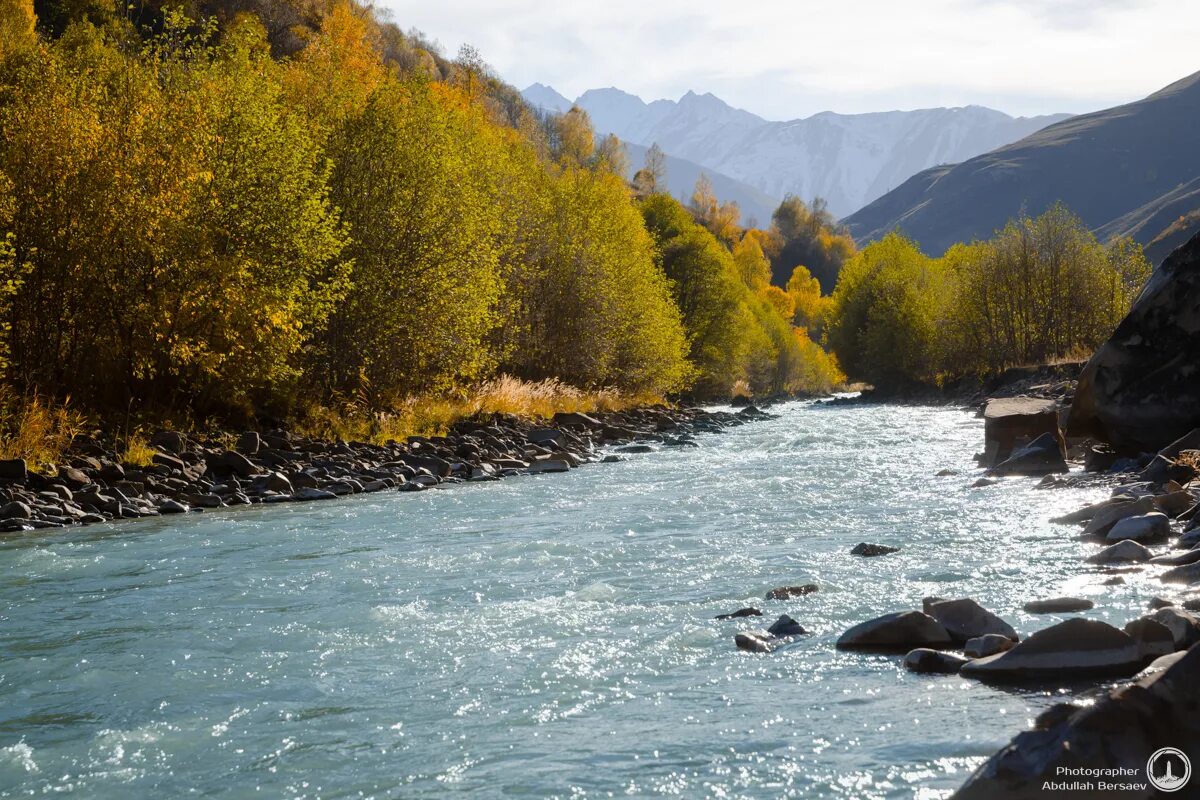 река аргун чеченская республика. чечня итум калинский район. реки чеченской республики. река терек чеченская республика. реки чеченской республики.