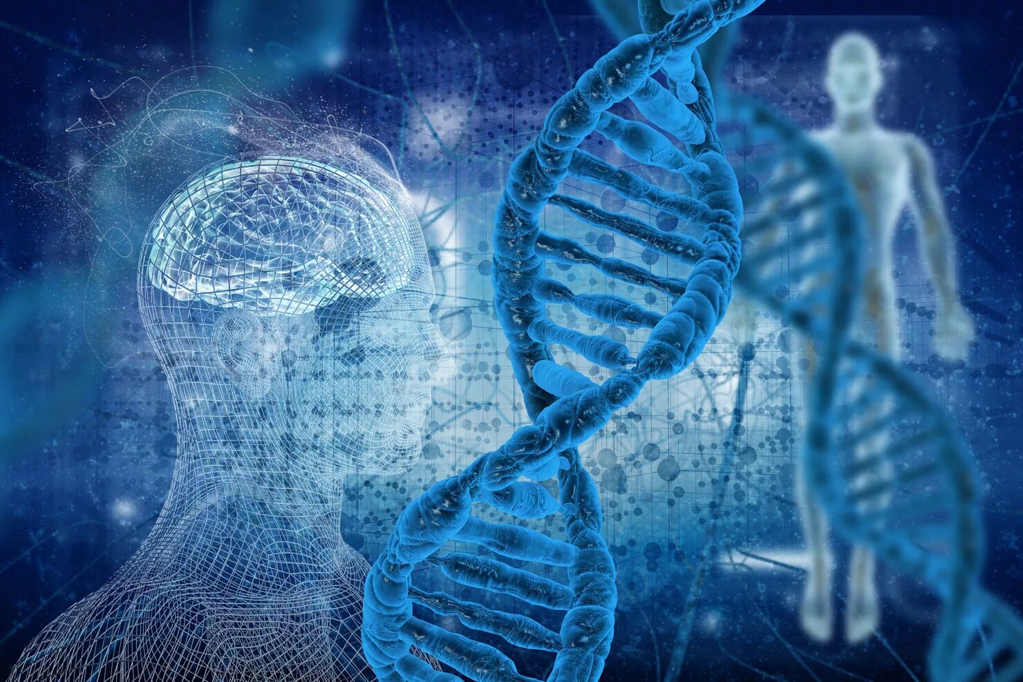 ДНК человека. Геном человека. ДНК фото. ДНК геном человека.