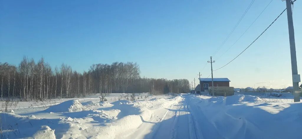 Купить в каменке новосибирск. ДНТ Каменский Оазис Новосибирск. Поселок Каменка Новосибирская область. П.Каменка Искитимский район. Село Усть Каменка Новосибирская область.