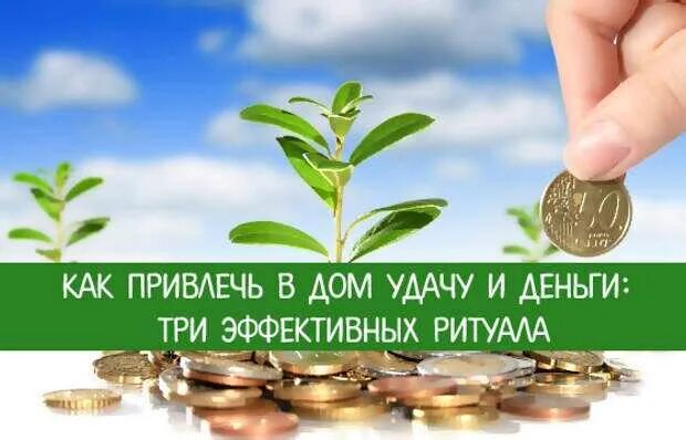 Привлечь удачу в свою жизнь домашних условиях. Что притягивает деньги в дом. Притянуть деньги и удачу к себе. Что притягивает деньги и удачу в дом. Как привлечь удачу в дом.