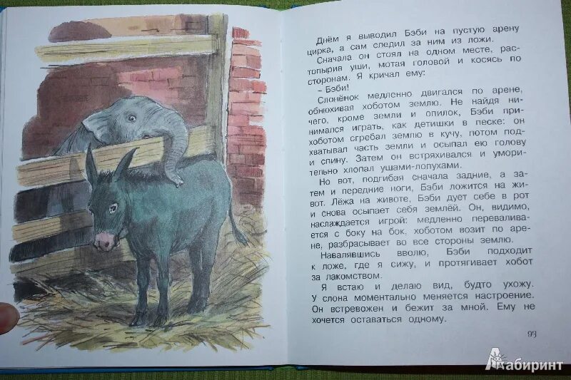 Моя семья и звери читать. Дуров рассказы Мои звери. Рассказы Владимира Дурова о животных.