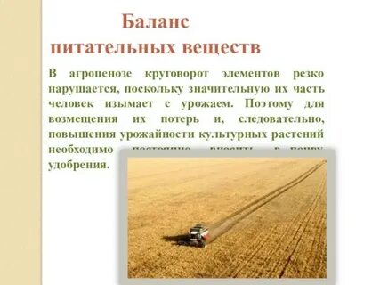 Круговорот веществ агроценоза