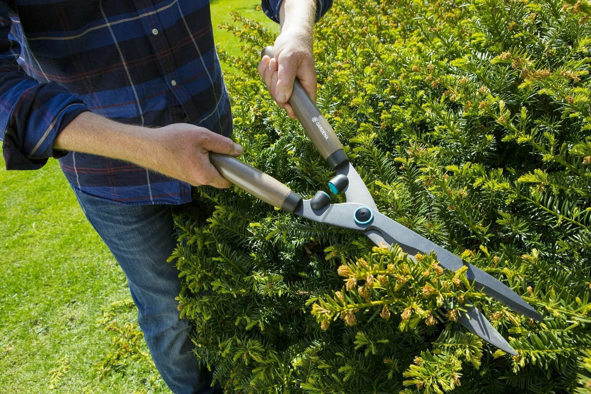 Ножницы для живой изгороди Gardena PrecisionCut Boxwood механические 12302-20.00