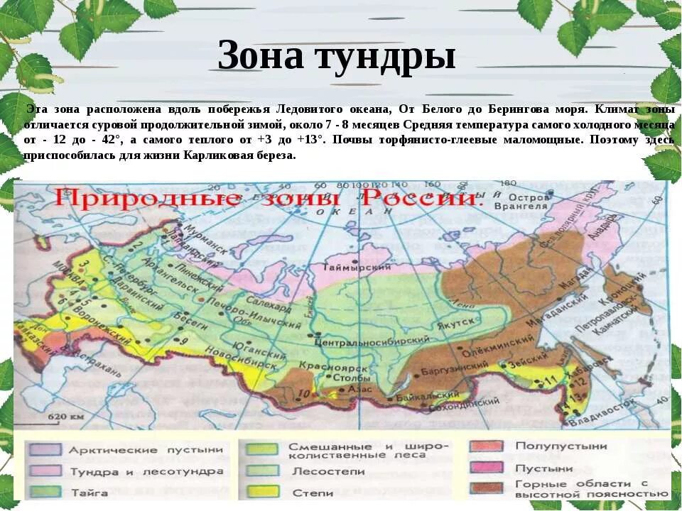 Природная зона южнее лесотундры. Тундра на карте природных зон. Климатические зоны тундры карта. Географическое положение зоны тундры в России. Зона тундра на карте России расположена.