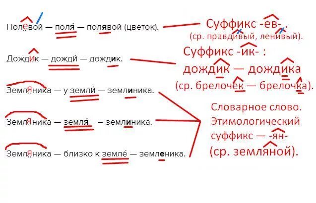 Поле корень окончание