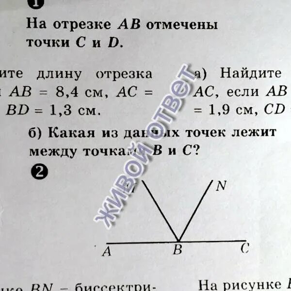 Точка лежит между точками cd. Точка лежит между точками. Между какими точками лежит точка а. Какая из точек лежит между двумя другими если известно. Точка з точка з.