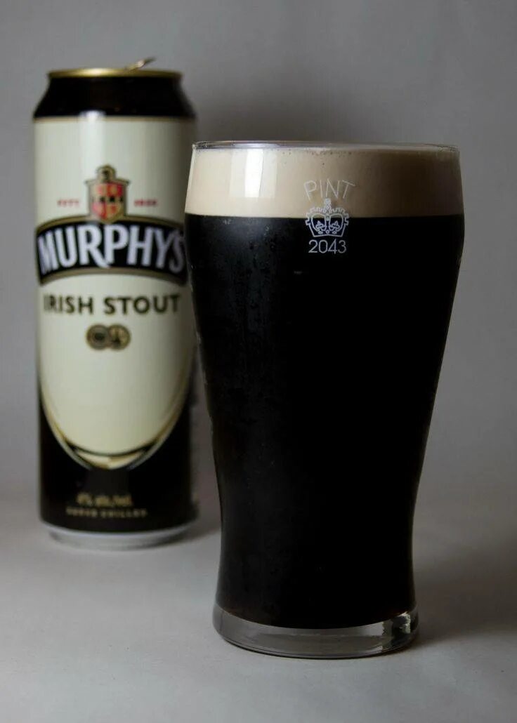 Стаут что это. Пиво Murphy's Irish Stout. Сухой ирландский Стаут. Ирландский темный Стаут. Темный Стаут пиво.