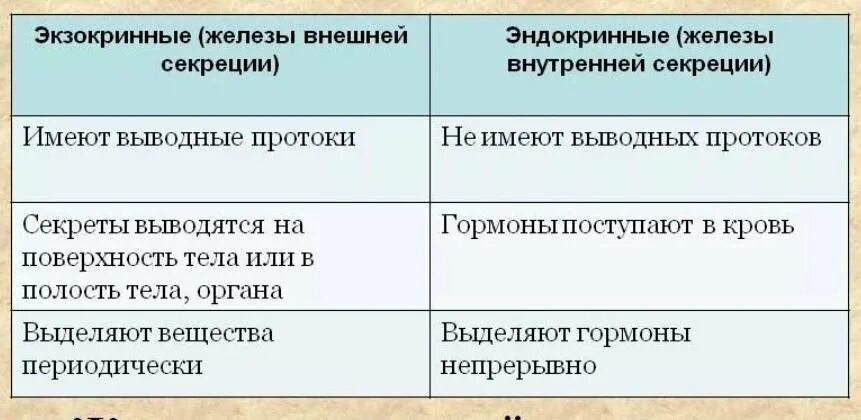 Железы внутренней и внешней секреции различия. Отличие желез внутренней секреции от желез внешней секреции. Различие между железами внешней и внутренней секреции. Характеристики желез внутренней секреции и внешней секреции.