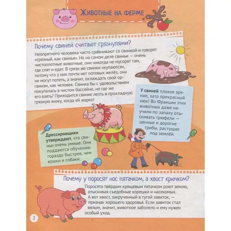 Почему корова постоянно. Почему корова постоянно жует. почему корова постоянно жуёт? интересные факты о животных на ферме. почему хрюшек считают грязнулями книга. почему у свиньи хвост крючком.
