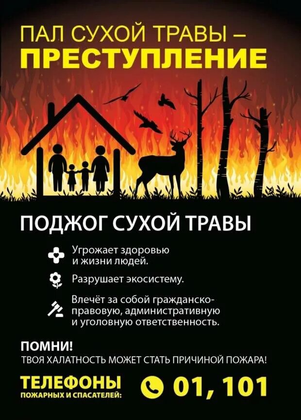 Пал травы запрещен. Нарушение правил пожарной безопасности в лесах. Пал сухой травы памятка по пожарной безопасности. Ответственность за поджог. Ответственность за поджог травы.