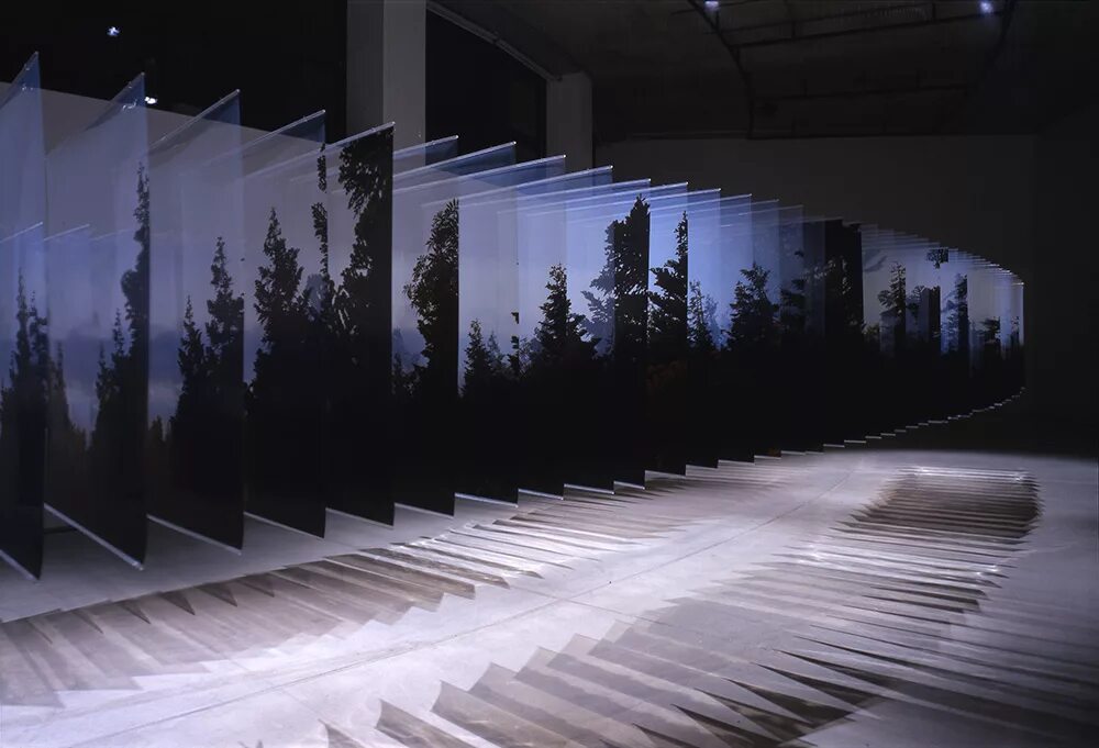 3d installation. Необычные выставочные пространства. Креативные инсталляции. Инсталляция арт объект. Интерактивные инсталляции.
