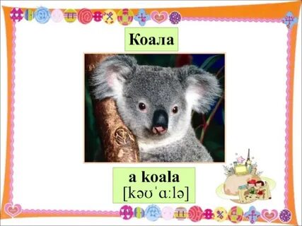 Слово коала