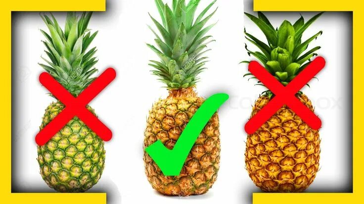 Agua de semillas de lino para combatir la celulitis y mejorar el estado de la pi