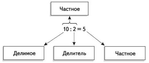 Частность в математике. Чеснок чисел в математике.