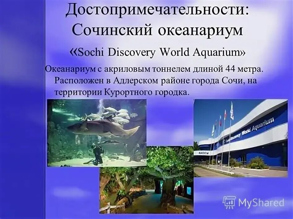 Проект "Города России. Сочи" по окружающему миру, 2 класс, как сделать?