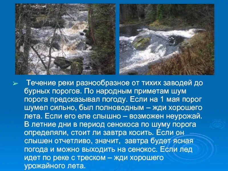 Тихое течение реки. Сообщение про порог. В течении этой реки много порогов. Бурная река пороги течение. В течении реки много изгибов