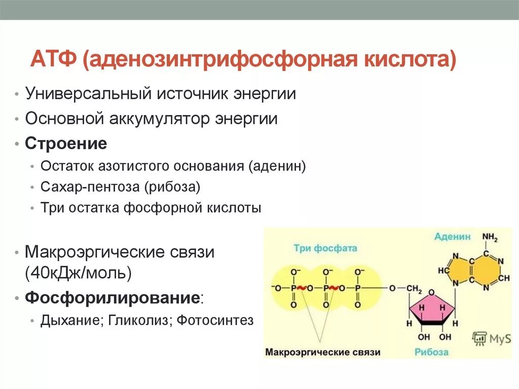 Характерные признаки атф