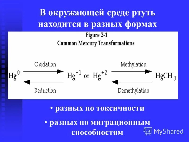 Воздействие ртути на окружающую среду. Источники ртути в окружающей среде. Как ртуть влияет на окружающую среду. Источники поступления ртути в окружающую среду. Ацетат ртути среда