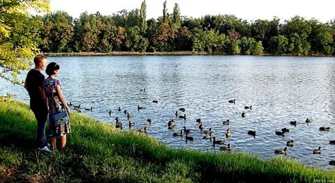 Озеро в покровском