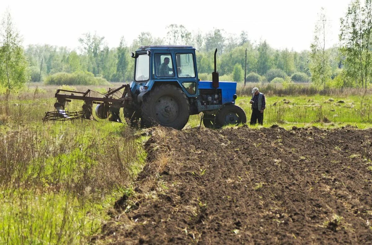 МТЗ 82 пахота. Вспашка целины трактором. Трактор пашет землю. Распашка земли трактором. Вспашка трактором плугом