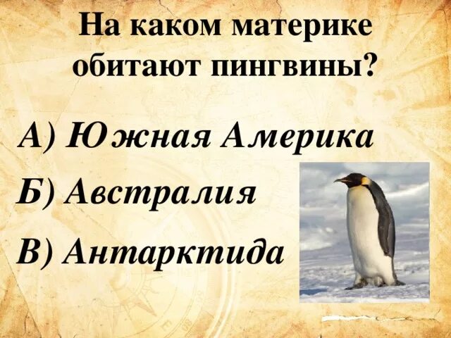 Где водятся пингвины на каком материке. Материк на котором живет Пингвин. Где живёт Пингвин на каком материке. Пингвин материк обитания.